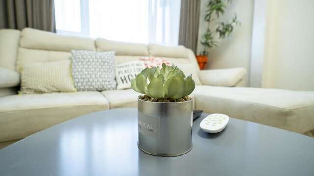 Апартаменты Eco studio Киев-12